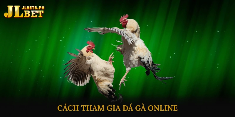 Cách tham gia đá gà online