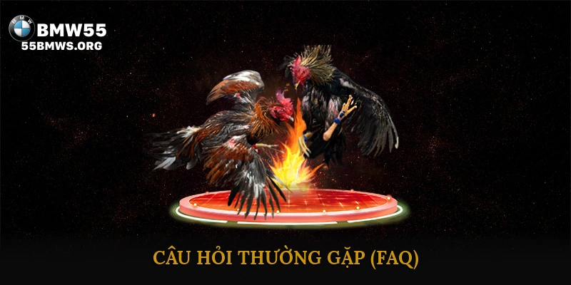 Câu Hỏi Thường Gặp (FAQ)