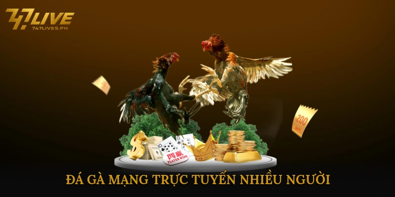 đá gà mạng trực tuyến nhiều người