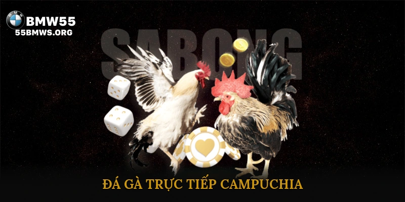 Đá gà trực tiếp Campuchia