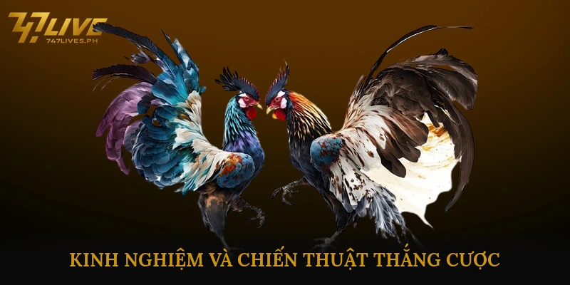 Kinh nghiệm và chiến thuật thắng cược