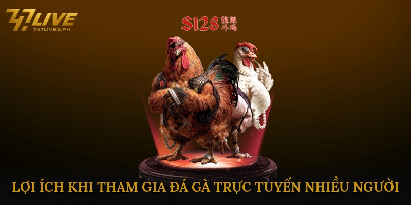 Lợi ích khi tham gia đá gà trực tuyến nhiều người