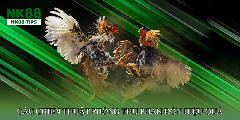 Các Chiến Thuật Phòng Thủ Phản Đòn Hiệu Quả