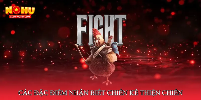 Các Đặc Điểm Nhận Biết Chiến Kê Thiện Chiến
