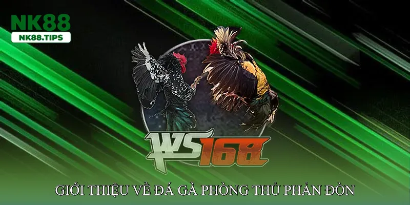 Giới Thiệu Về Đá Gà Phòng Thủ Phản Đòn