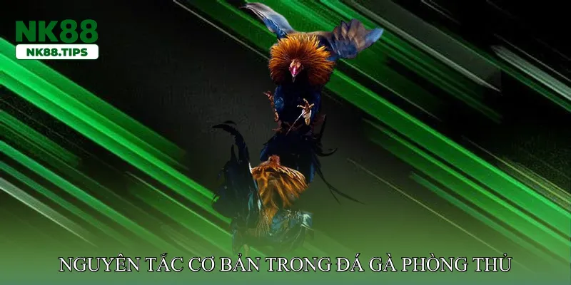 Nguyên Tắc Cơ Bản Trong Đá Gà Phòng Thủ