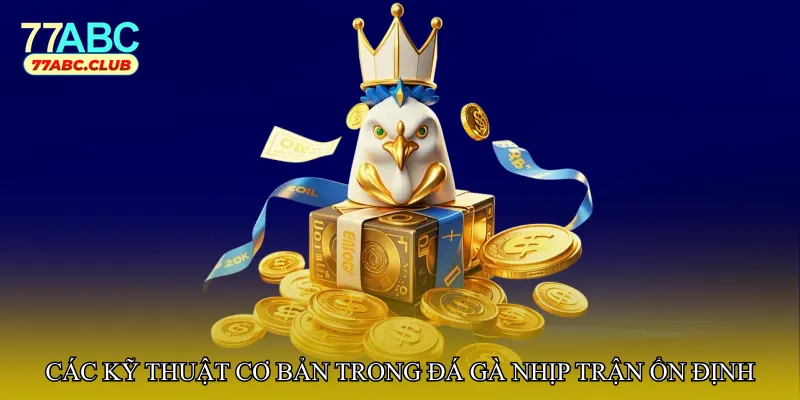 Các kỹ thuật cơ bản trong Đá gà nhịp trận ổn định