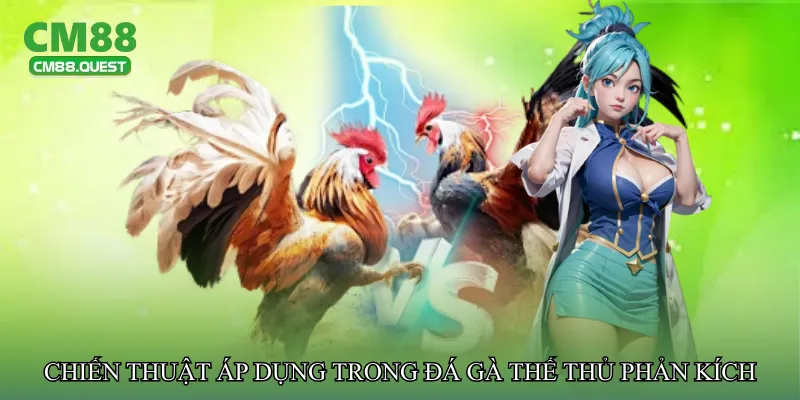 Chiến thuật áp dụng trong Đá gà thế thủ phản kích