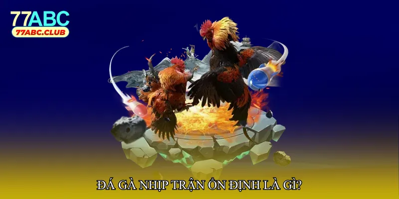 Đá gà nhịp trận ổn định là gì?