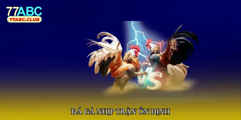 Đá gà nhịp trận ổn định