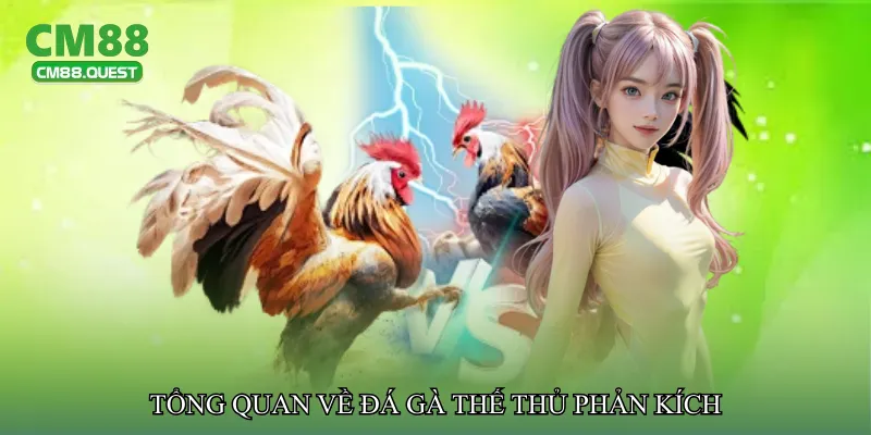 Tổng quan về Đá gà thế thủ phản kích